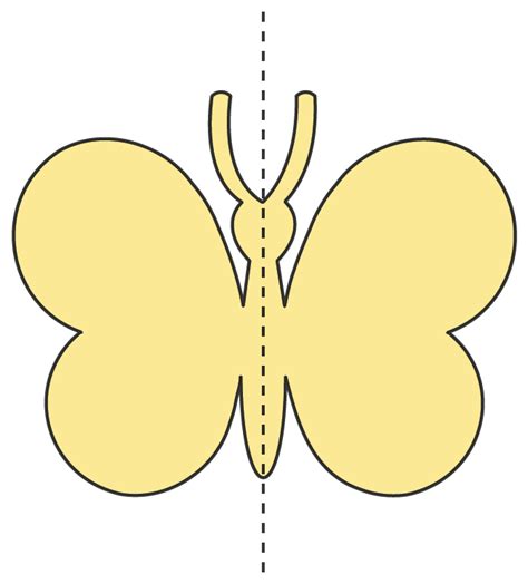 Symmetry - Definition, Types, Examples