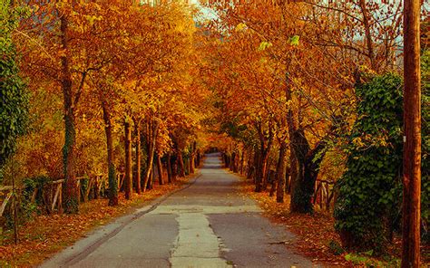 The village of Arcadia with the most “romantic road” in Greece