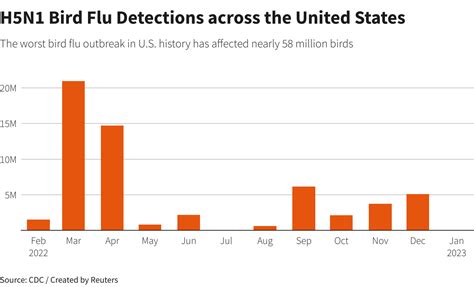 Cal-Maine shares fall from record highs in wake of avian flu outbreak ...