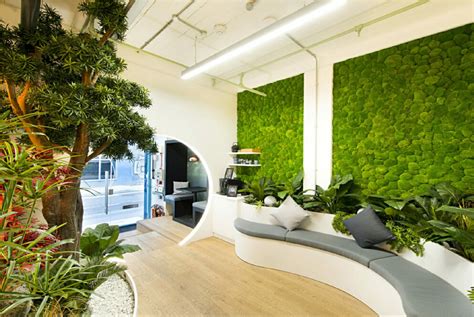 Green office - greening trend in the workplace