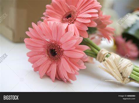 Pink Daisy Bouquet Image & Photo (Free Trial) | Bigstock