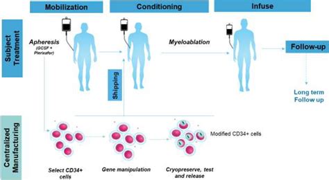 Gene Therapy For Beta-Thalassemia: Updated Perspectives, 42% OFF