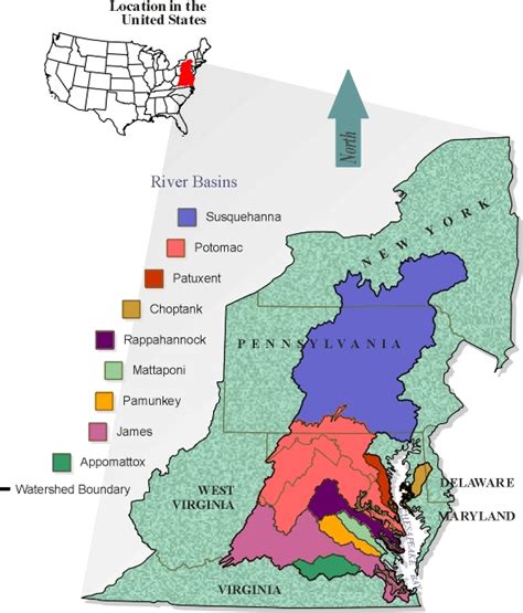 Charcoaling manure and greening neighborhoods: ecological approaches to ...