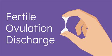 Fertile Ovulation Discharge - Understanding Cervical Mucus in Regards to Pregnancy - Proov