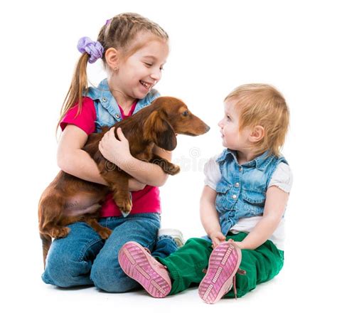 Kids with dachshund stock photo. Image of baby, pedigree - 46799656