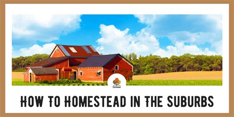 How To Homestead in The Suburbs | Homesteading Info