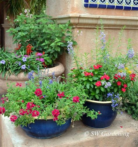 Hummingbird Gardening In a Container - Southwest Gardening | Hummingbird garden flowers ...