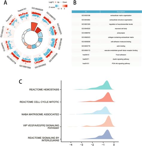 Kyoto Encyclopedia of Genes and Genomes (KEGG) analysis and Gene Set ...