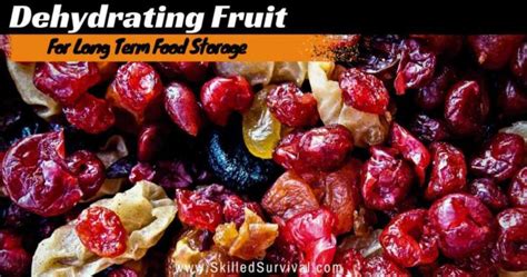 Dehydrating Fruit: How To Preserve Sweet Calories