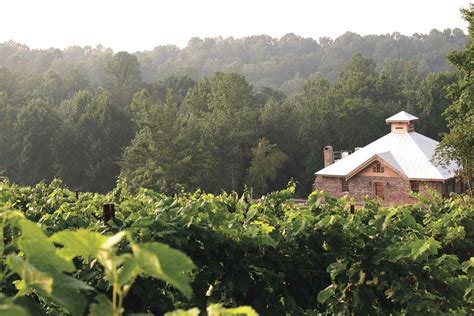 48 Hours in North Carolina's Yadkin Valley Wine Country: The Ultimate Itinerary