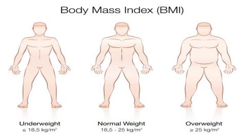 Is a BMI of 28 Bad for Women and Men?