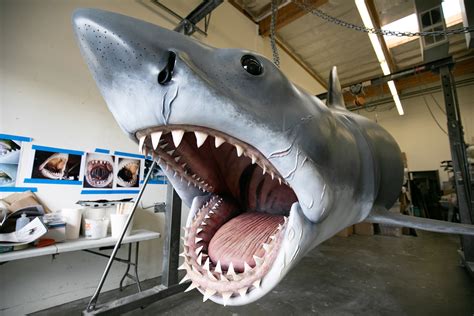 'Jaws' shark gets his bite back: A love story | MPR News