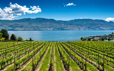 7 Reasons To Move To Kelowna, British Columbia | Great Canadian Van Lines