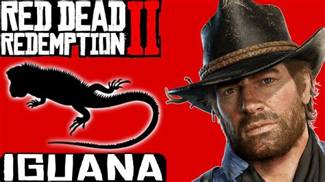 RDR2 | Perfect iguana skin location - YouTube