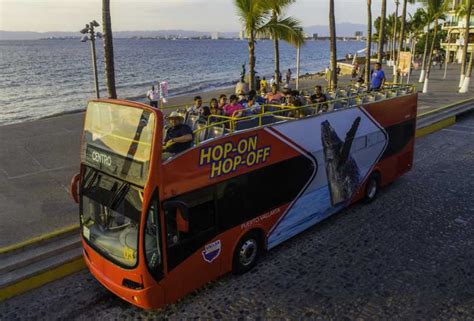 Puerto Vallarta: Hop-On-Hop-Off City Bus Tour | GetYourGuide