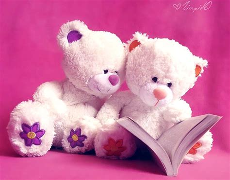 Cute Love Pink Teddy Bear Wallpaper | Teddy bear wallpaper, Teddy bear ...