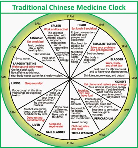 TCM Horary Clock – Healthee Life