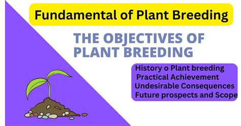 Top 10 Objectives Of Plant Breeding, Definition & History