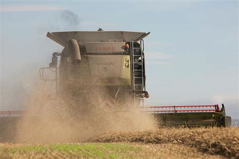 Wheat Harvesting #10 Photograph by Lewis Houghton/science Photo Library - Fine Art America