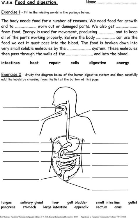 Ks3 Science Revision Worksheets Pdf — db-excel.com