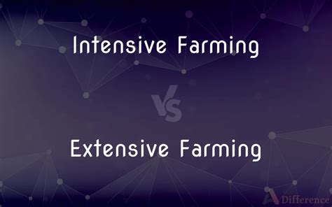 Intensive Farming vs. Extensive Farming — What’s the Difference?