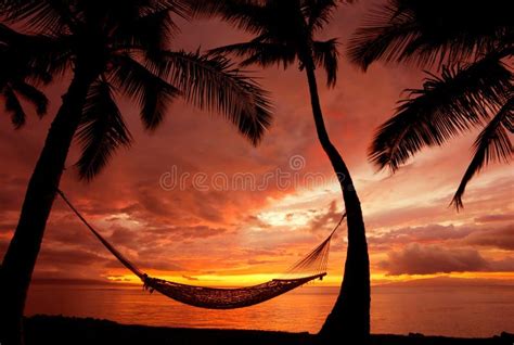 Hammock on tropical beach stock image. Image of peaceful - 373125