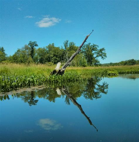 Kayaking in Connecticut – Social Vixen