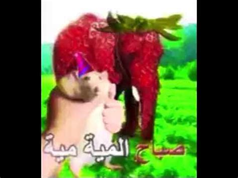 Arabic Okey Mouse And Strawberry Elephant Meme. (Tragic Final) | Arabic ...