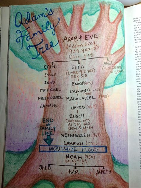 Adam Eve Family Tree