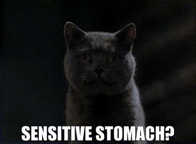 Stuart Little Smokey GIF - Stuart little Smokey Sensitive stomach - Discover & Share GIFs