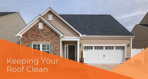 Top 4 Tips for Keeping Your Roof Clean - the House house