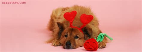 Dog With Roses FB Cover Photo – Xee FB Covers