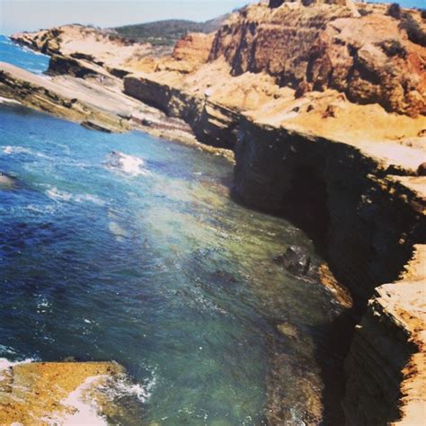 Point Loma, tide pools San Diego | Tide pools, Trip, Point loma