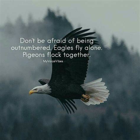 Fear of Flying Quotes - Inspiring Eagle Quotes