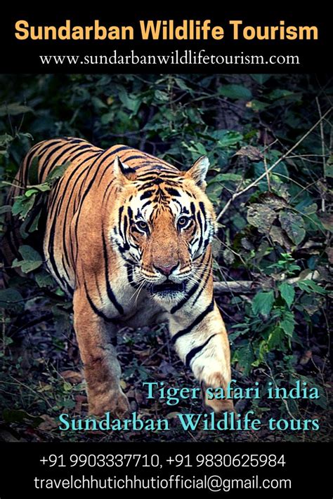 Sundarban Wildlife Tourism — Sundarban Wildlife Photography tour ...