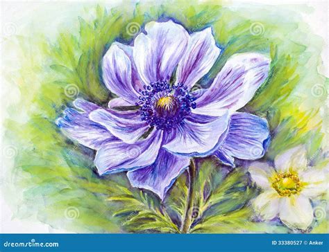 Japanese Anemones flower. stock illustration. Illustration of delicate - 33380527