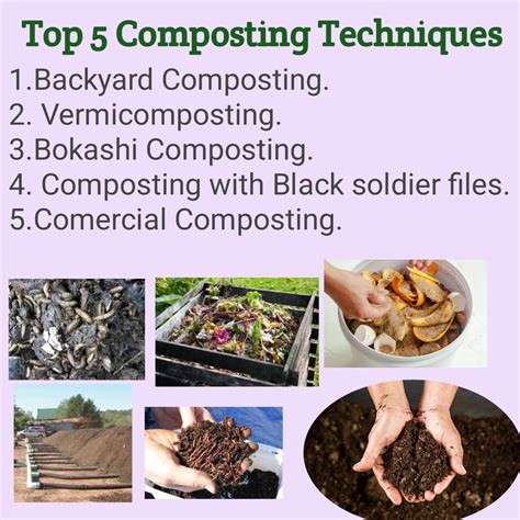 Top 5 Sustainable Composting Methods for Improving Soil Fertility and Reducing Organic Waste.