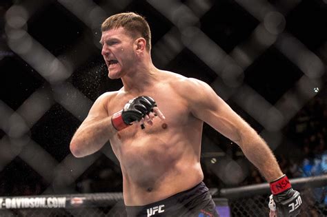 Stipe Miocic: 'It doesn't matter' whether I fight Werdum or Velasquez for the UFC title - Bloody ...