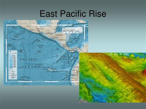 PPT - Plate Tectonics & The Ocean Floor PowerPoint Presentation - ID:5334872