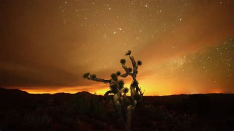 The Night Sky Mojave Desert, Stock Footage | VideoHive