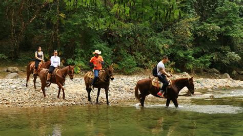 Horseback Riding Tour - AdminHomes Puerto Vallarta