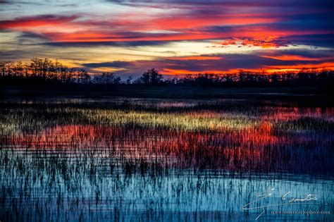 AL DIAZ PHOTO: Focus on the Everglades Sunrise Wrap Up with Photo ...