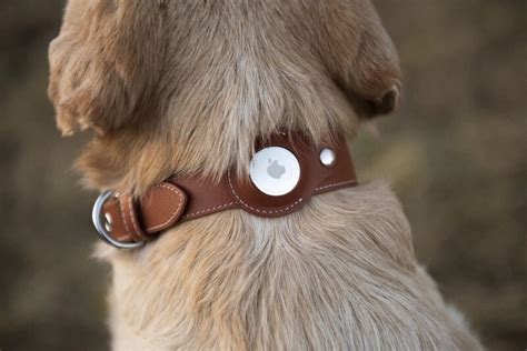 A personalized AirTag dog collar keeps track of your best friend | Cult ...