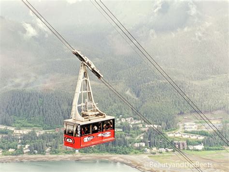 The Scenic Juneau Tram - Alaska Beauty and the Beets