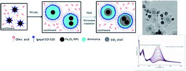 Ultra-fast microwave-assisted reverse microemulsion synthesis of Fe3O4@SiO2 core–shell ...