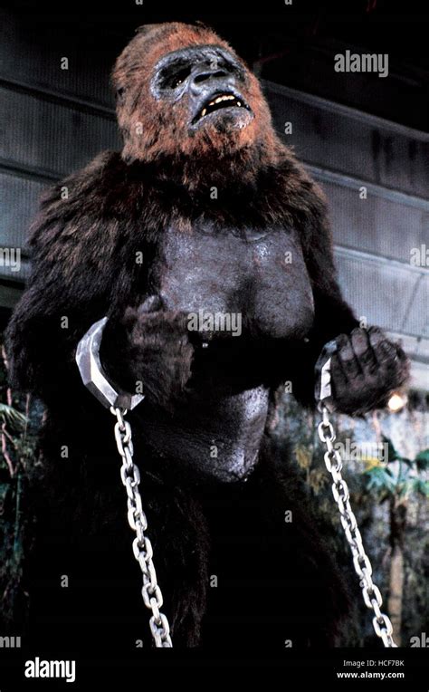 KING KONG LIVES, Lady Kong, 1986. ©DeLaurentiis Entertainment Group/courtesy Everett Collection ...