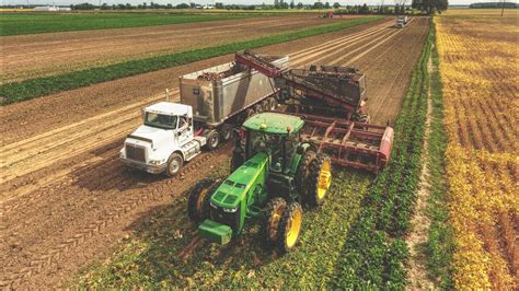 2018 SUGAR BEET HARVEST!! Michigan | Amity Harvester | #Farming - YouTube