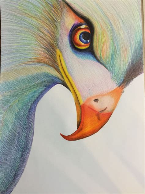 Águila de colores | Oil pastel art, Painting, Art practice