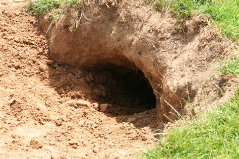 Mr Badger's front door © Peter Church cc-by-sa/2.0 :: Geograph Britain ...