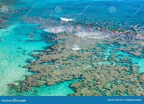 Coral Reef in Hanauma Bay, Oahu, Hawaii Stock Photo - Image of clear ...